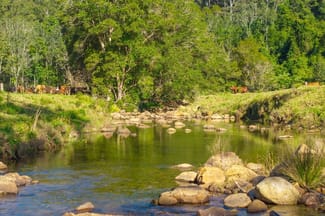 Rural / Farming commercial property for sale at 1635 Lorne Road Kerewong NSW 2439 Rural / Farming commercial property for sale at 1635 Lorne Road Kerewong NSW 2439