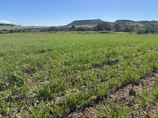 Rural / Farming commercial property for sale at 199 Hatch Road Bowes WA 6535