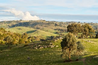 Rural / Farming commercial property for sale at 254 FERNHILLS ROAD Sheans Creek VIC 3666
