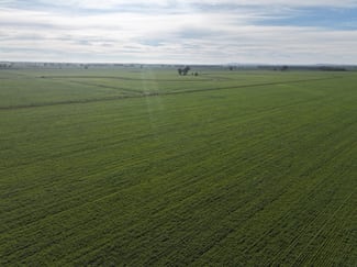 Rural / Farming commercial property for sale at 'Hazileigh' 411 Hawthorns Lane Berry Jerry NSW 2701 Rural / Farming commercial property for sale at 'Hazileigh' 411 Hawthorns Lane Berry Jerry NSW 2701