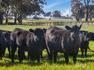 Rural / Farming commercial property for sale at 596 Settlement Road Kilmany VIC 3851