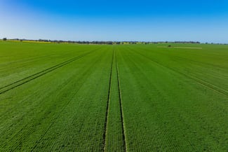 Rural / Farming commercial property for sale at Barmedman NSW 2668