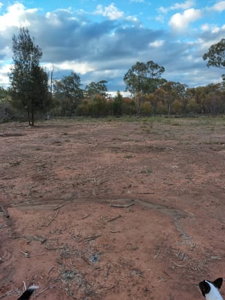 Rural / Farming commercial property for sale at Tara QLD 4421 Rural / Farming commercial property for sale at Tara QLD 4421