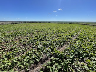 Rural / Farming commercial property for sale at Lot 65 Forrester Road Mount Erin WA 6532 Rural / Farming commercial property for sale at Lot 65 Forrester Road Mount Erin WA 6532