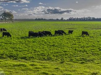 Rural / Farming commercial property sold at 21R Nantilla Road Ballimore NSW 2830