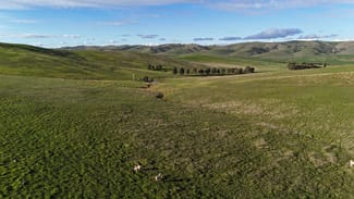Rural / Farming commercial property for sale at 'Pratts' Allotments 876 & 878 Humphris Road West Bundaleer SA 5491 Rural / Farming commercial property for sale at 'Pratts' Allotments 876 & 878 Humphris Road West Bundaleer SA 5491