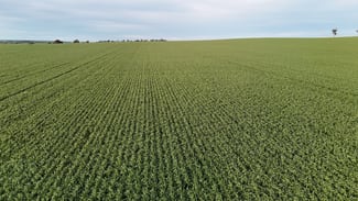 Rural / Farming commercial property for sale at 'Cavan Downs' Heaslip Highway Huddleston SA 5523 Rural / Farming commercial property for sale at 'Cavan Downs' Heaslip Highway Huddleston SA 5523