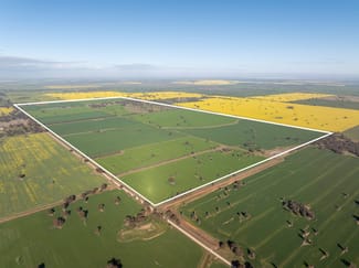 Rural / Farming commercial property for sale at 606 Yuba Road Savernake NSW 2646 Rural / Farming commercial property for sale at 606 Yuba Road Savernake NSW 2646
