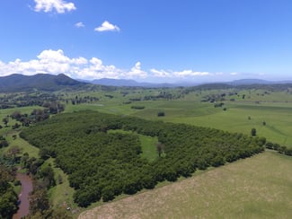 Rural / Farming commercial property for sale at 139 Homestead Road Kyogle NSW 2474 Rural / Farming commercial property for sale at 139 Homestead Road Kyogle NSW 2474