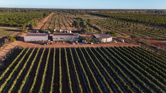 Rural / Farming commercial property for sale at 945 North River Road North Plantations WA 6701