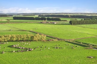 Rural / Farming commercial property for sale at 801 Timboon-Colac Road Jancourt East VIC 3266