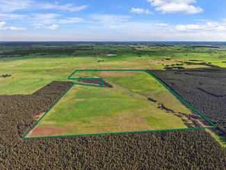 Rural / Farming commercial property for sale at 207 Hardys Road Knebsworth VIC 3286