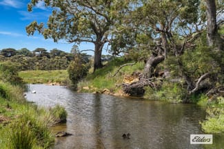 Rural / Farming commercial property for sale at 321 Buckleys Lane Springfield VIC 3434 Rural / Farming commercial property for sale at 321 Buckleys Lane Springfield VIC 3434