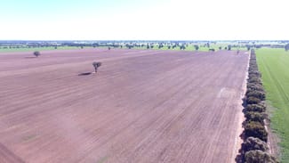 Rural / Farming commercial property for sale at 100 Forcks Lane Pleasant Hills NSW 2658
