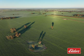 Rural / Farming commercial property for sale at Bunnaloo Road Moama NSW 2731 Rural / Farming commercial property for sale at Bunnaloo Road Moama NSW 2731