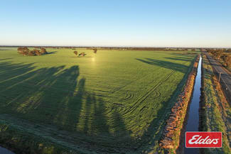 Rural / Farming commercial property for sale at Bunnaloo Road Moama NSW 2731