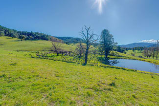 Rural / Farming commercial property for sale at Lot 1 Merriang Homestead Road Myrtleford VIC 3737 Rural / Farming commercial property for sale at Lot 1 Merriang Homestead Road Myrtleford VIC 3737