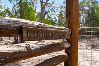 Rural / Farming commercial property for sale at 'Googoorewon' Lot 56 Stonehenge Road Stonehenge QLD 4357 Rural / Farming commercial property for sale at 'Googoorewon' Lot 56 Stonehenge Road Stonehenge QLD 4357