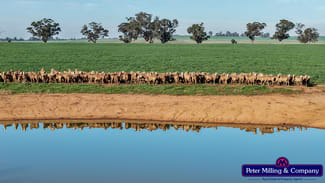 Rural / Farming commercial property sold at 48R Quamby Road Wongarbon NSW 2831 Rural / Farming commercial property sold at 48R Quamby Road Wongarbon NSW 2831