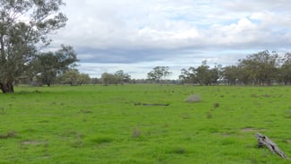 Rural / Farming commercial property for sale at Warren NSW 2824 Rural / Farming commercial property for sale at Warren NSW 2824