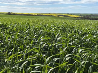 Rural / Farming commercial property for sale at 404 Marshalls Road Ungarra SA 5607 Rural / Farming commercial property for sale at 404 Marshalls Road Ungarra SA 5607