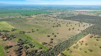 Rural / Farming commercial property sold at 99/ Carmichaels Road Mulwala NSW 2647