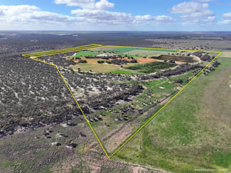Rural / Farming commercial property for sale at 540 Stewart Road Red Cliffs VIC 3496