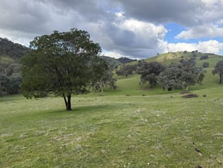 Rural / Farming commercial property sold at 736 UT Creek Road Alexandra VIC 3714 Rural / Farming commercial property sold at 736 UT Creek Road Alexandra VIC 3714