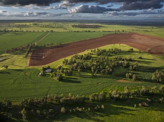 Rural / Farming commercial property for sale at 3235 Back Trundle Road Cooks Myalls NSW 2870 Rural / Farming commercial property for sale at 3235 Back Trundle Road Cooks Myalls NSW 2870
