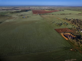 Rural / Farming commercial property for sale at 3166 Back Trundle Road Cooks Myalls NSW 2870