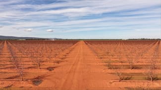 Rural / Farming commercial property for sale at 1625 Myall Park Road Myall Park NSW 2681