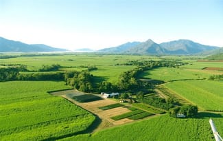 Rural / Farming commercial property for sale at 84 Deppeler Road Edmonton QLD 4869 Rural / Farming commercial property for sale at 84 Deppeler Road Edmonton QLD 4869