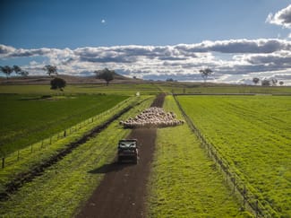 Rural / Farming commercial property for sale at 4500 Purlewaugh Road Purlewaugh NSW 2357 Rural / Farming commercial property for sale at 4500 Purlewaugh Road Purlewaugh NSW 2357