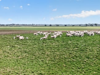 Rural / Farming commercial property for sale at 'Folly Farm' Riddell Road Meningie SA 5264 Rural / Farming commercial property for sale at 'Folly Farm' Riddell Road Meningie SA 5264