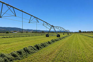 Rural / Farming commercial property for sale at 241 Loomberah Road Tamworth NSW 2340