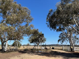Rural / Farming commercial property for sale at Lot 13 Mayfield Road Tarago NSW 2580 Rural / Farming commercial property for sale at Lot 13 Mayfield Road Tarago NSW 2580