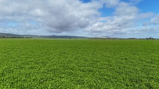 Rural / Farming commercial property for sale at 'Spackys' 12 Corella Road Mundoora SA 5555