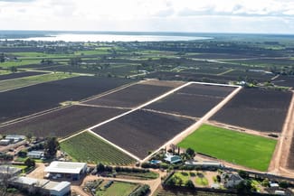 Rural / Farming commercial property for sale at 218 Dunstone Road Barmera SA 5345