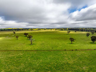 Rural / Farming commercial property for sale at "West Ardnaree" Cnr Newell & Kurrawbya Roads, TUBBUL VIA Young NSW 2594 Rural / Farming commercial property for sale at "West Ardnaree" Cnr Newell & Kurrawbya Roads, TUBBUL VIA Young NSW 2594