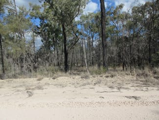 Rural / Farming commercial property for sale at Lot 17 Charles Drive Tara QLD 4421 Rural / Farming commercial property for sale at Lot 17 Charles Drive Tara QLD 4421