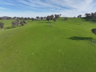 Rural / Farming commercial property for sale at 'Caulderwood Park' 570 Coggans Road Coolac NSW 2727