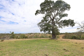 Rural / Farming commercial property for sale at 213 Kings Hill Road Highgrove QLD 4352
