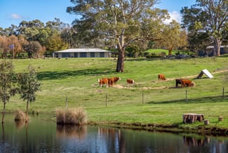 Rural / Farming commercial property for sale at 100 Burnley Road Woodside SA 5244