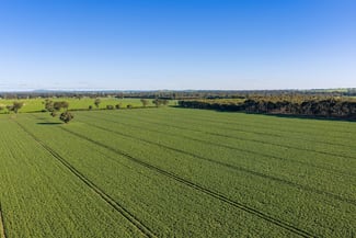 Rural / Farming commercial property for sale at Henty-Walla Road Culcairn NSW 2660 Rural / Farming commercial property for sale at Henty-Walla Road Culcairn NSW 2660