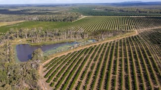 Rural / Farming commercial property for sale at 577 Boaga Road Mullett Creek QLD 4670 Rural / Farming commercial property for sale at 577 Boaga Road Mullett Creek QLD 4670