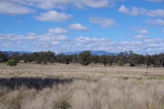 Rural / Farming commercial property sold at 433 Killarney Gap Road Narrabri NSW 2390