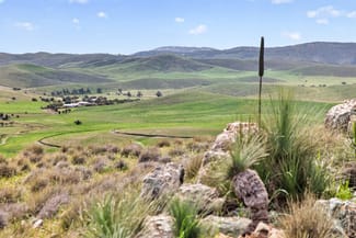 Rural / Farming commercial property for sale at 467 Depot Flat Road Yarrah SA 5433