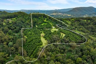 Rural / Farming commercial property for sale at 1005 TUNTABLE CREEK ROAD Nimbin NSW 2480