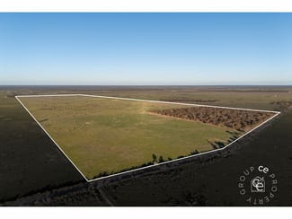 Rural / Farming commercial property for sale at Section 195 Halfway House Road Sandleton SA 5356 Rural / Farming commercial property for sale at Section 195 Halfway House Road Sandleton SA 5356