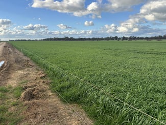 Rural / Farming commercial property for sale at - Hansen Road Ballendella VIC 3561